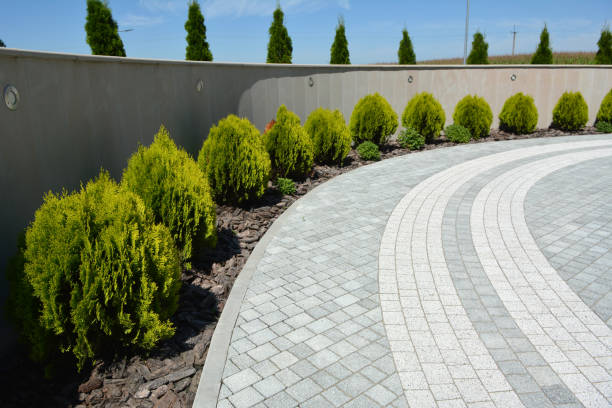  Henderson, NV Driveway Pavers Pros